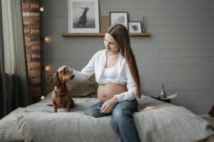 How Dogs React to Pregnancy: Understanding Their Behavior Before and After Birth