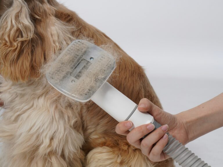 The Best Grooming Products for 2025 (Chosen by U.S. Pet Owners)