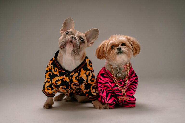 Dogs Who Became Millionaires on Social Media — True Stories